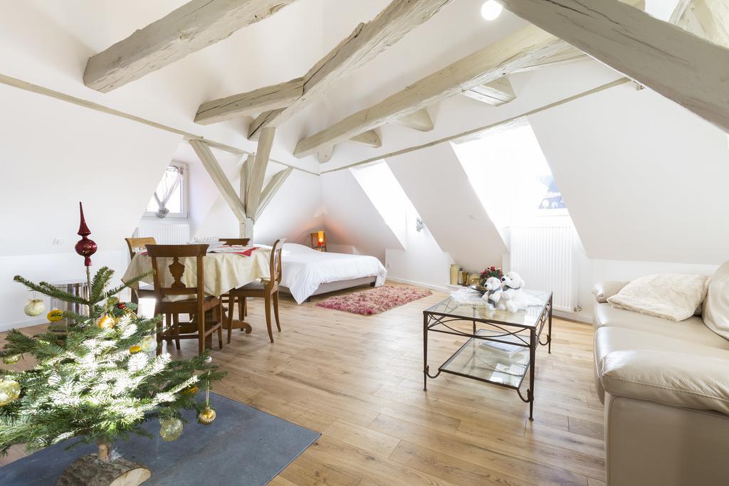 Les Appartements Saint Nicolas Colmar Exterior photo